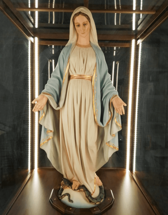 11 de noviembre: el Papa Francisco bendecirá la imagen de la Virgen de la  Medalla Milagrosa que peregrinará por Italia - Congregación de la Misión