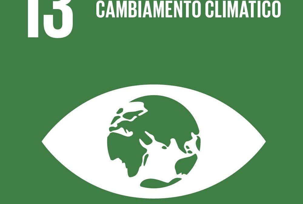 SDG n. 13 Azione per il clima
